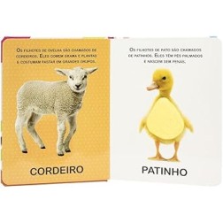 Toque e Sinta II: Animais Filhotes