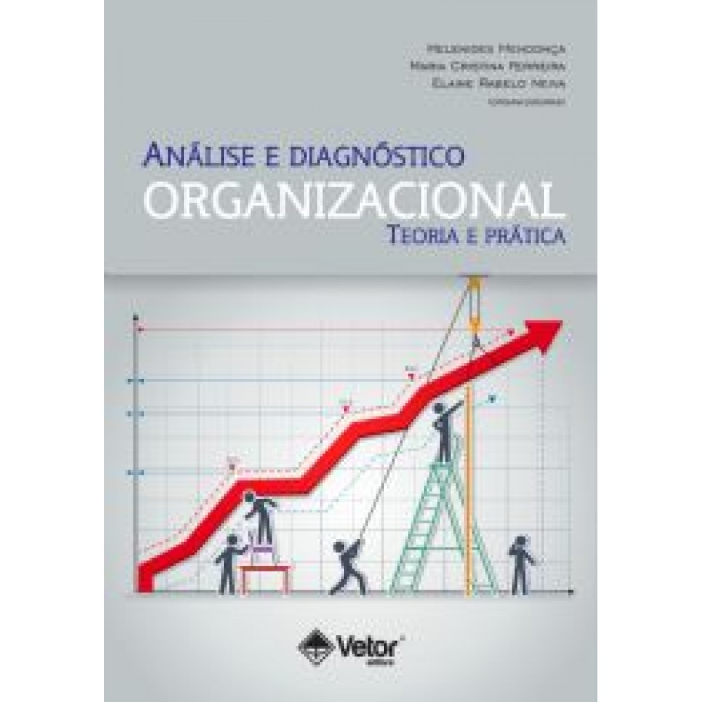 Análise e diagnóstico organizacional - teoria e prática  